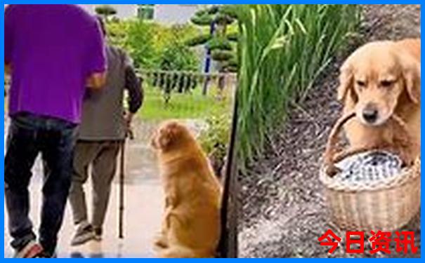 东北小环线自驾游路线图